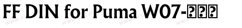 FF DIN for Puma W07字体转换